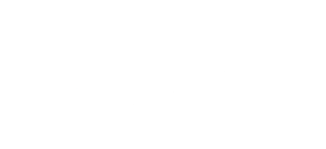 net2phone white logo