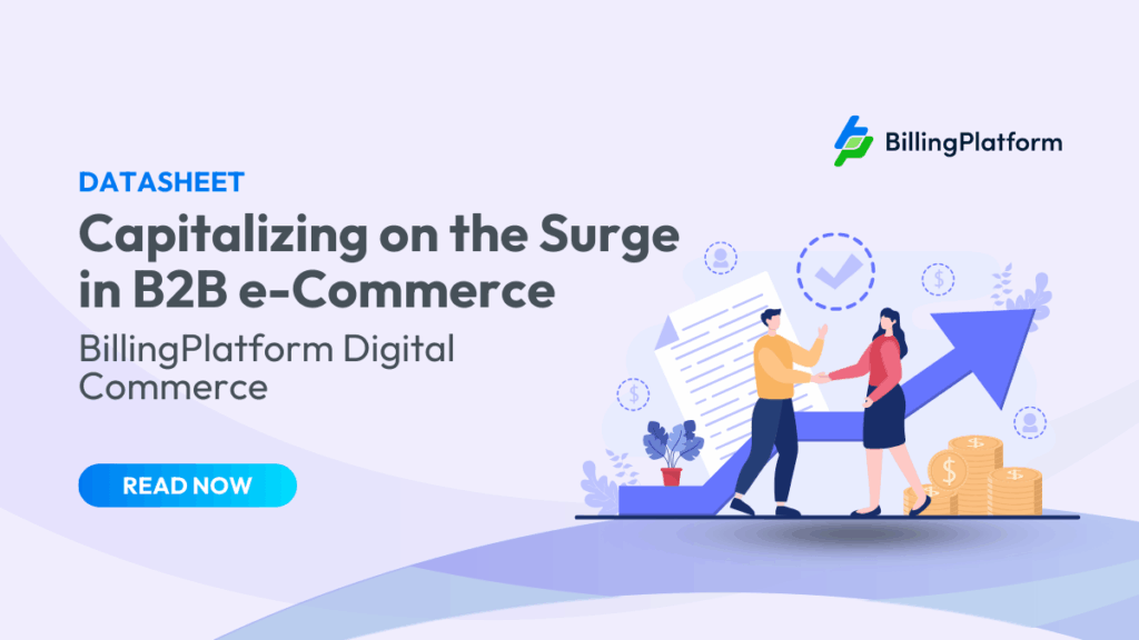Datasheet Capitalizing on the Surge in B2B e-Commerce