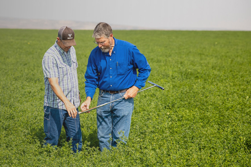 Valley Irrigation image