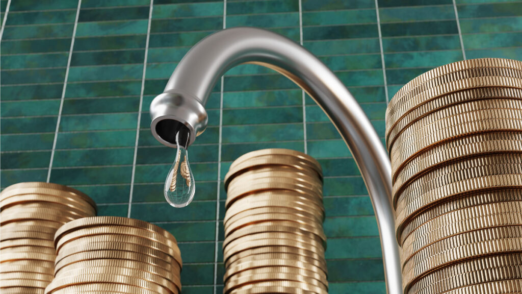 revenue leakage